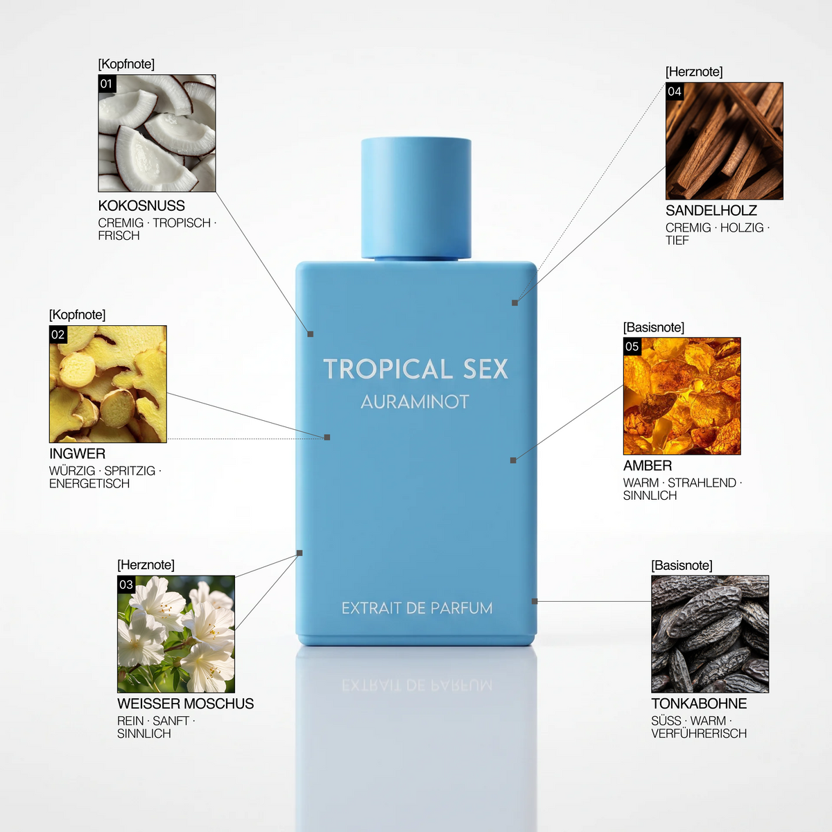 TROPICAL SEX